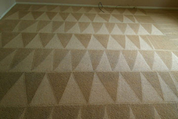 Carpet Cleaning Services After Carpet Cleaning Services After