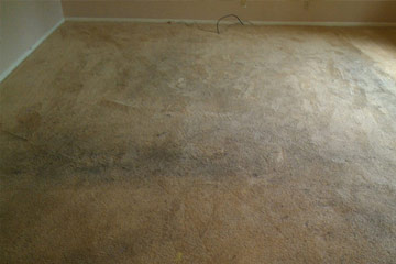 Carpet Cleaning Services Before Carpet Cleaning Services Before